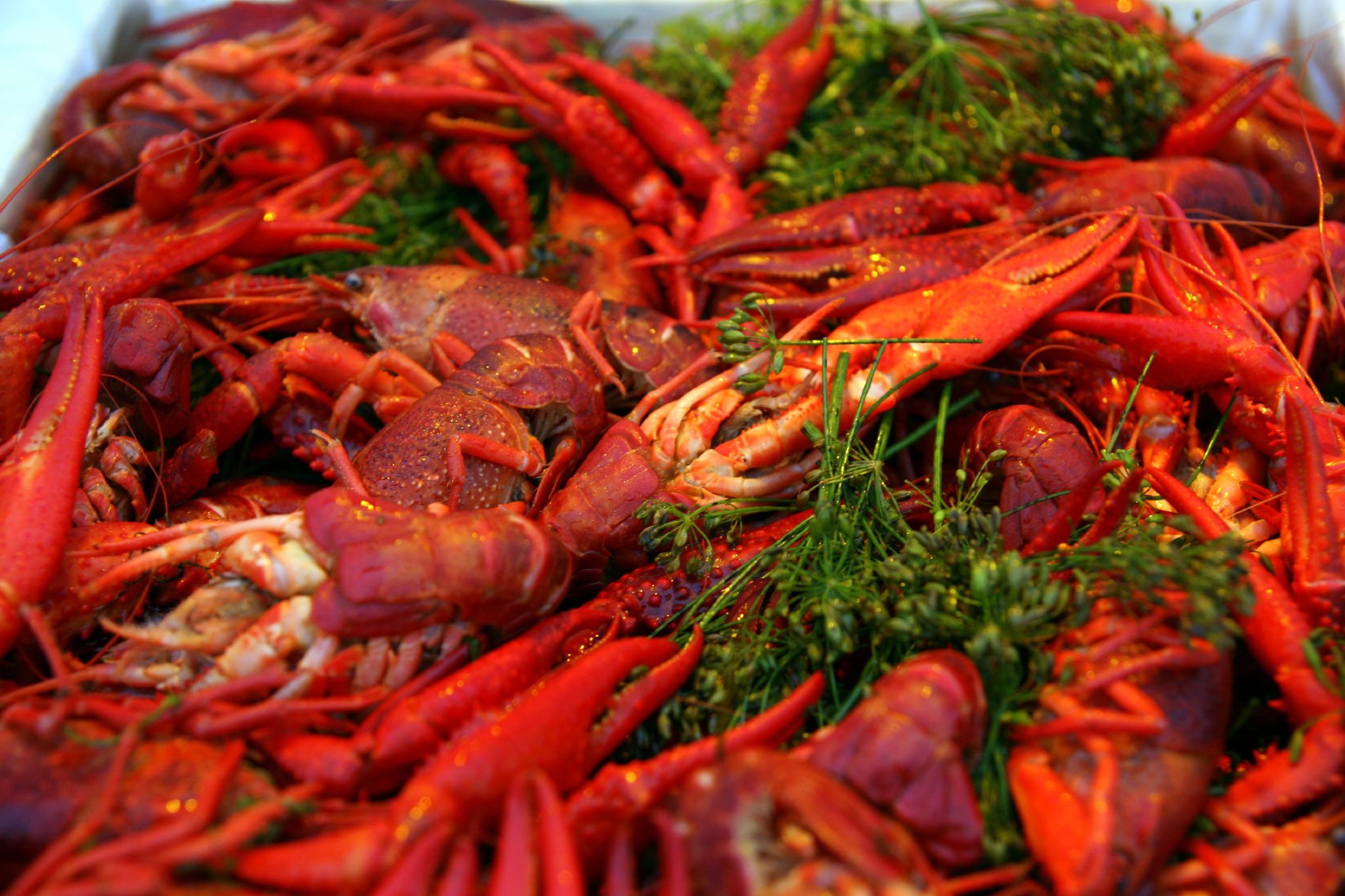 Crayfish Party в Мальме!